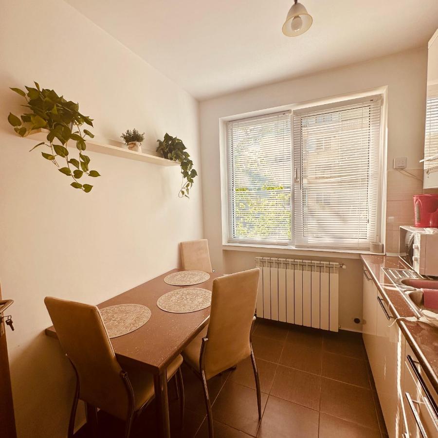 Sweet Apartament Baia Mare Eksteriør billede